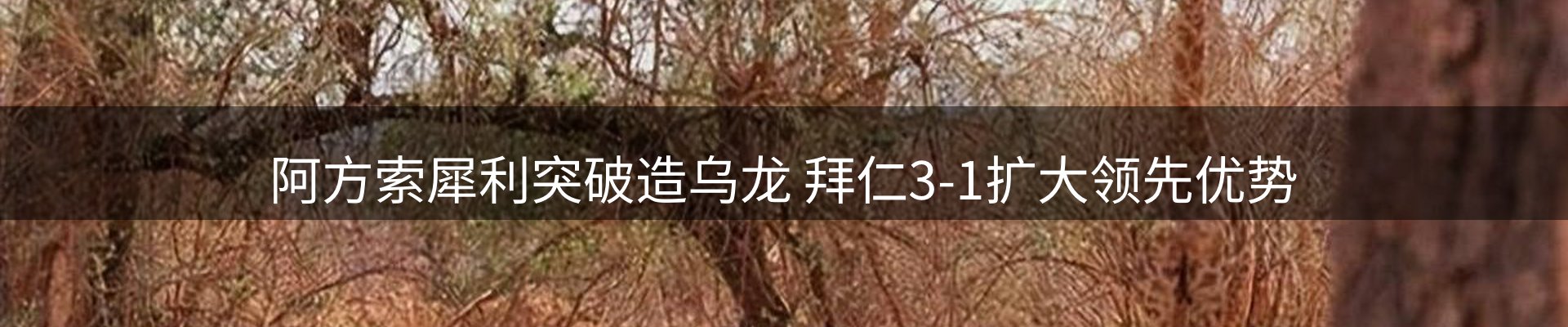 新闻天地